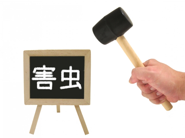 特殊清掃現場の清掃を成功させるポイント